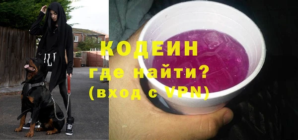 ГАЛЛЮЦИНОГЕННЫЕ ГРИБЫ Лагань