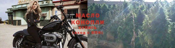 ГАЛЛЮЦИНОГЕННЫЕ ГРИБЫ Лагань