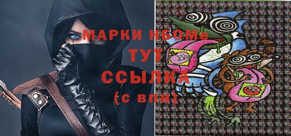 ГАЛЛЮЦИНОГЕННЫЕ ГРИБЫ Лагань