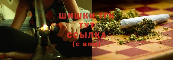 дмт Ладушкин