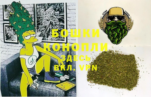 дмт Ладушкин
