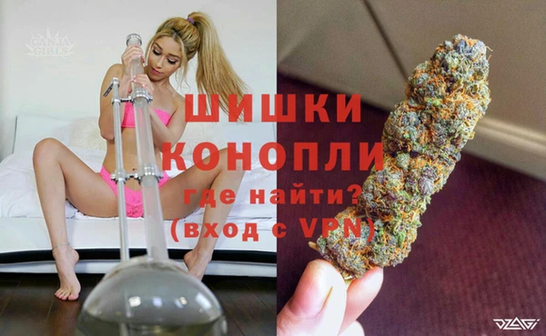 ГАЛЛЮЦИНОГЕННЫЕ ГРИБЫ Лабытнанги