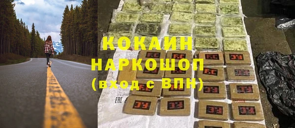 дмт Ладушкин