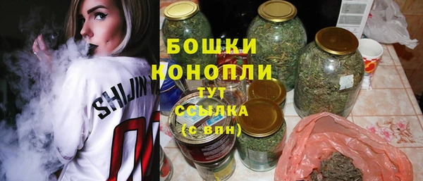 дмт Ладушкин