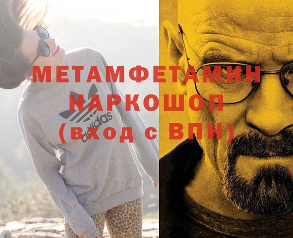 ГАЛЛЮЦИНОГЕННЫЕ ГРИБЫ Лагань