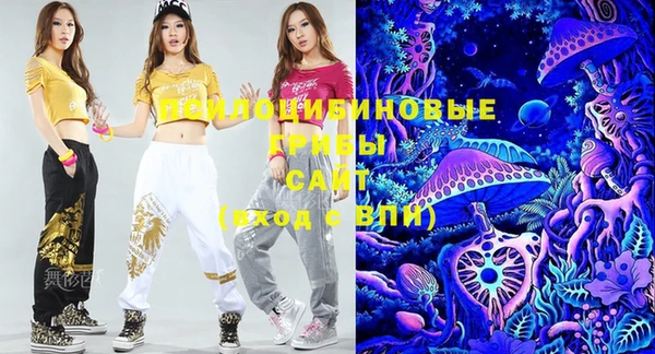 ГАЛЛЮЦИНОГЕННЫЕ ГРИБЫ Лабытнанги