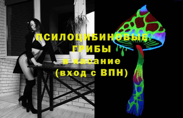 ГАЛЛЮЦИНОГЕННЫЕ ГРИБЫ Лабытнанги