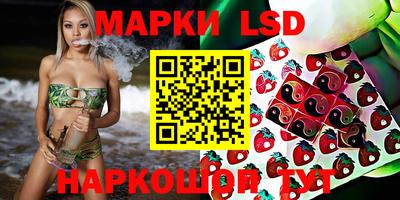 гашик Берёзовский