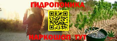 гашик Берёзовский