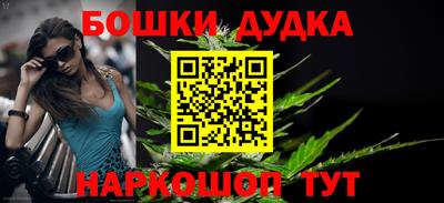 гашик Берёзовский