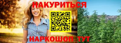 не бодяженный Кингисепп