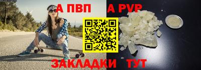 не бодяженный Кингисепп