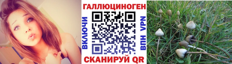 Галлюциногенные грибы MAGIC MUSHROOMS  Купить где  Кстово 