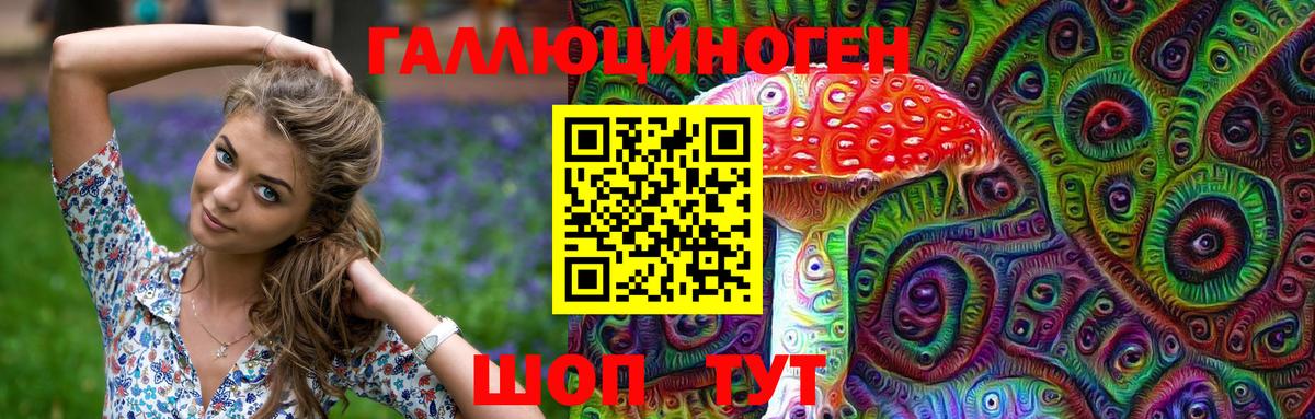 Псилоцибиновые грибы Cubensis Кстово