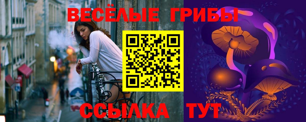 Галлюциногенные грибы прущие грибы  Кстово 