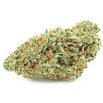 Шишки OG Kush  (Гидропоника, бошки) VHQ в Кстово